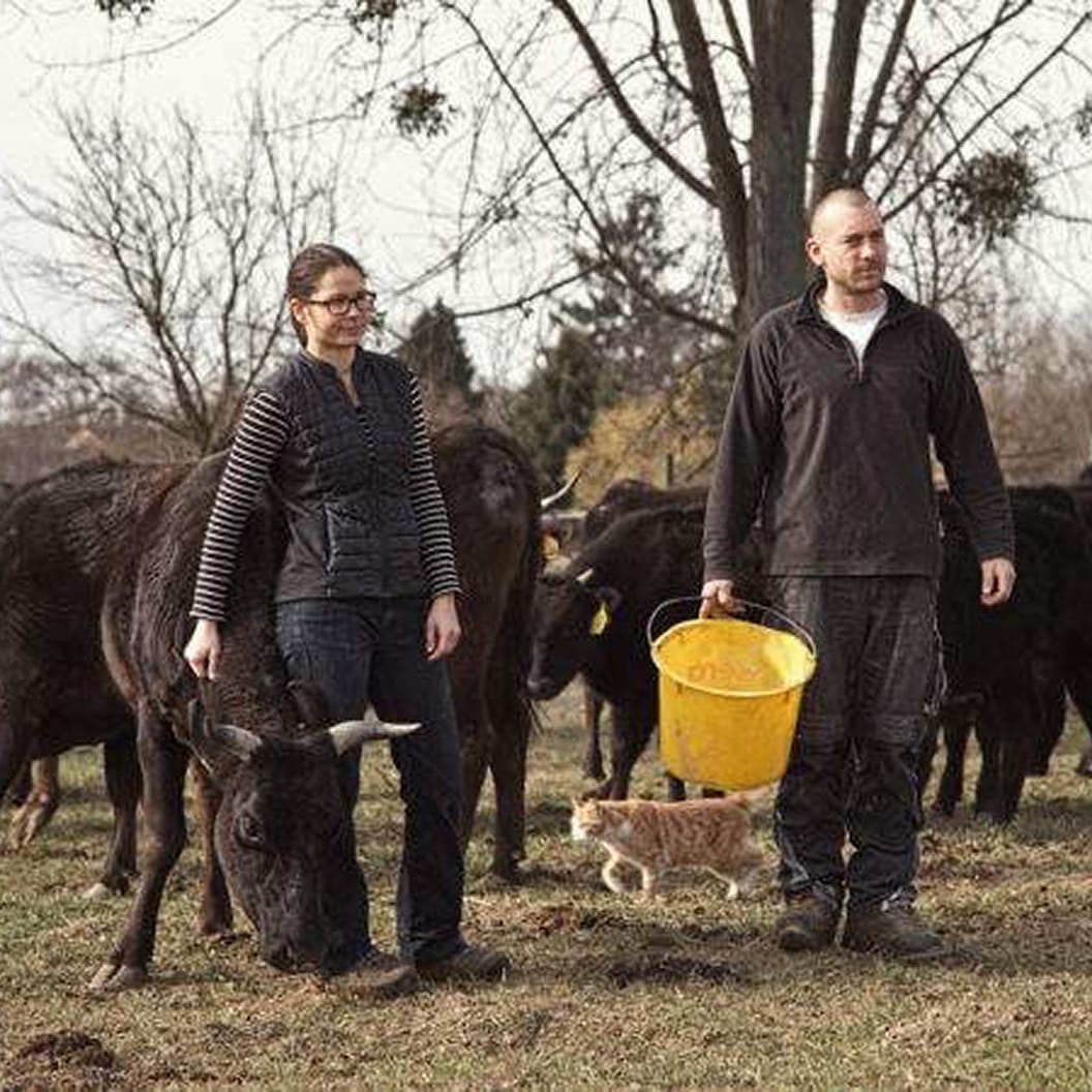 Stephan Farm Header Image