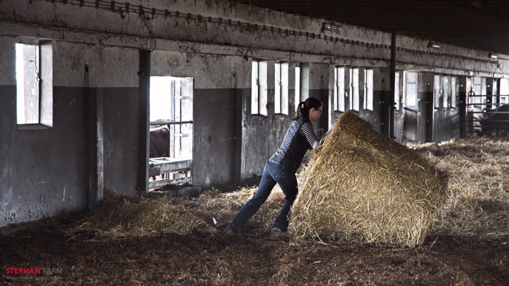 Frau schiebt Heuballen in Scheune.