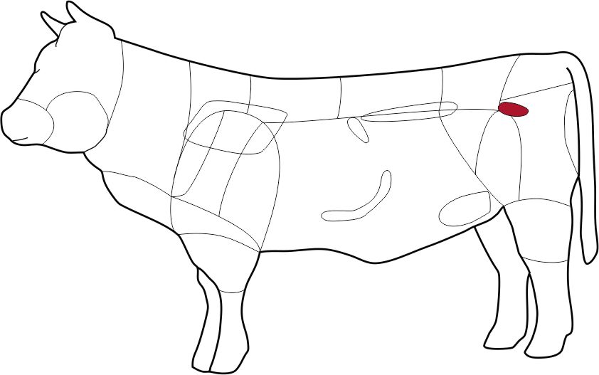 wagyu fledermaus skizze