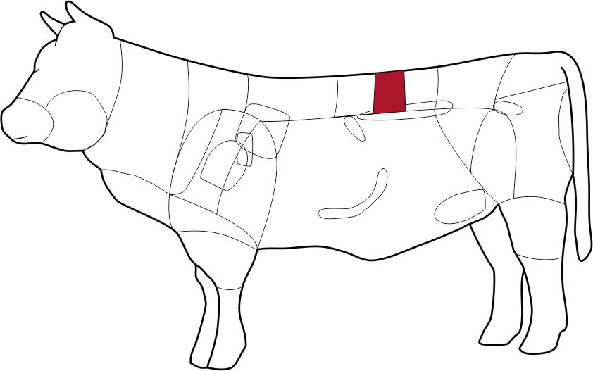 Rind Skizze t-bone