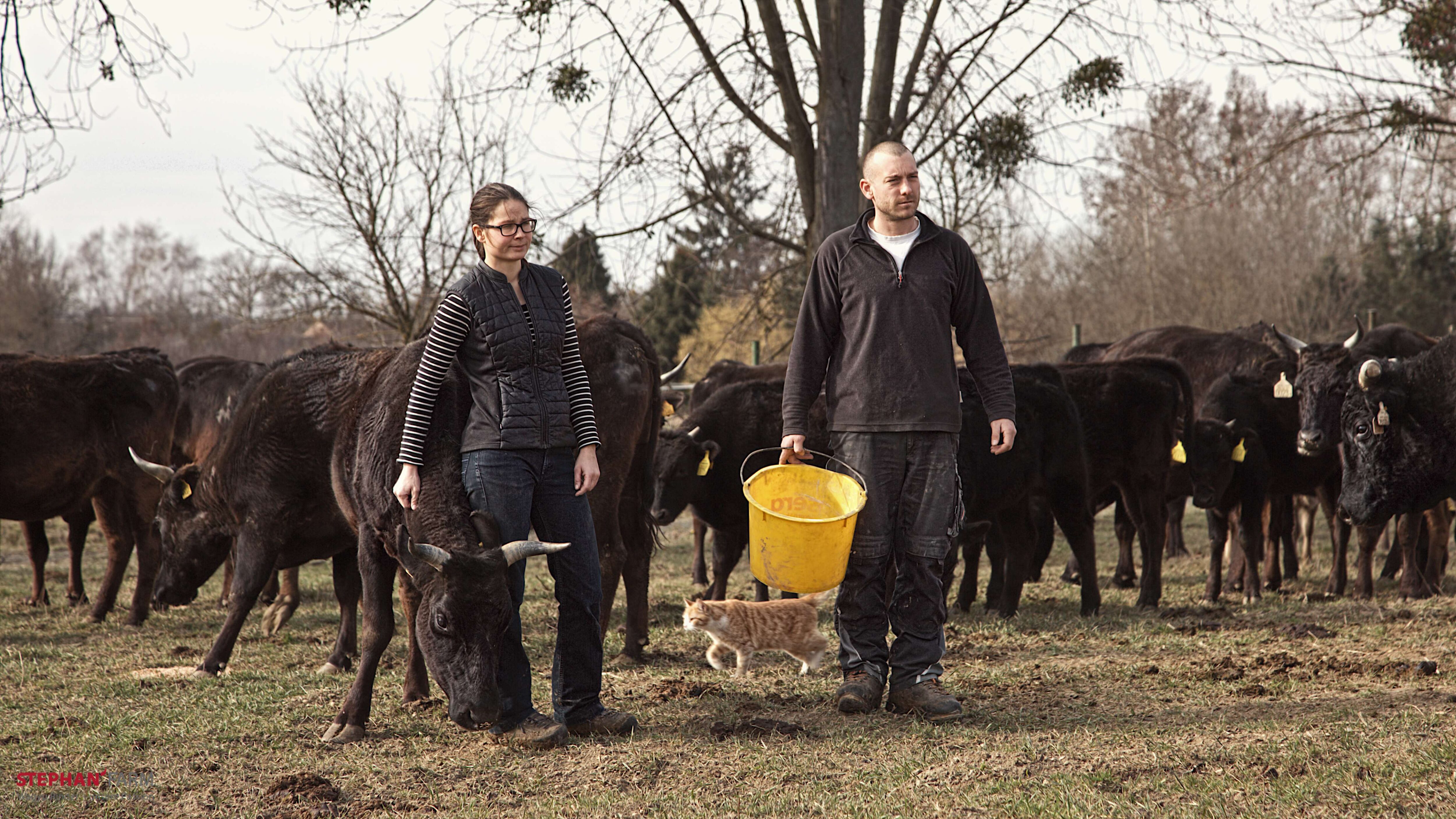 Stephan Farm Header Image